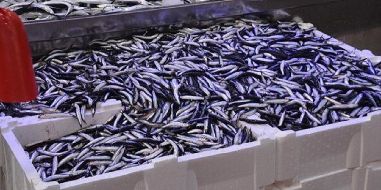 fiyati 100 liraya indi vatandas hucum etti LipOSudy