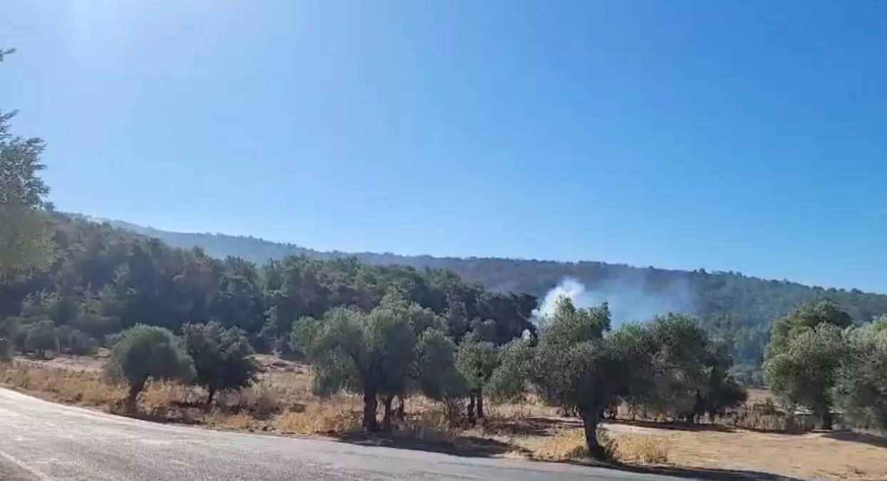 milasta orman yangini 2 gune girdi RyCnMSSD