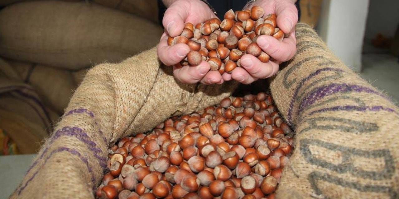 findiktan 1 milyar 610 milyon 163 bin gelir K19IwBu8.jpg