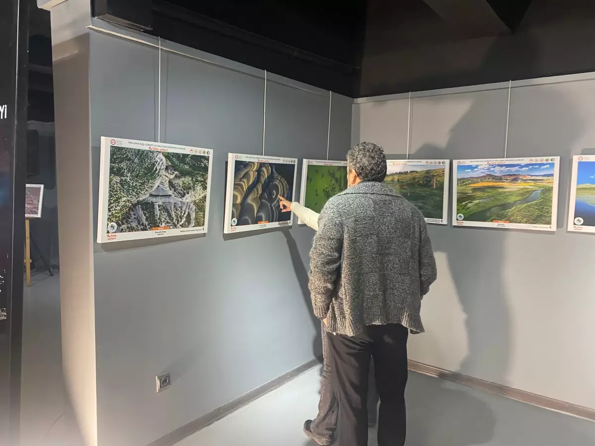 nallihan kus cennetinde foto safari sergisi acildi 2nmkjjmA