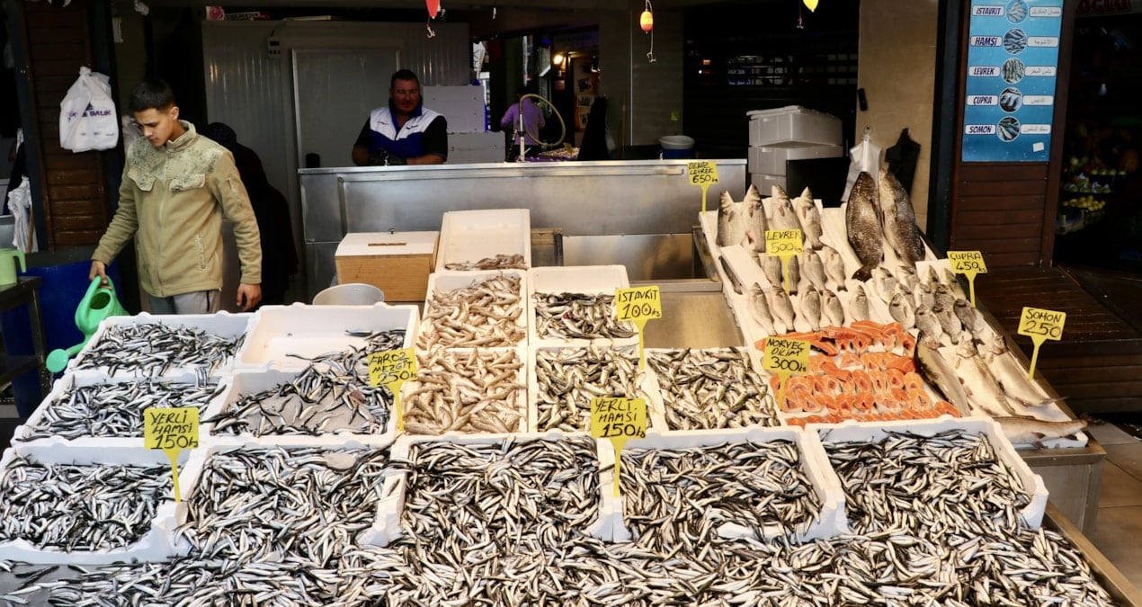 palamut yok hamsi revacta iste tezgahlardaki guncel balik fiyatlari CqxCru9v