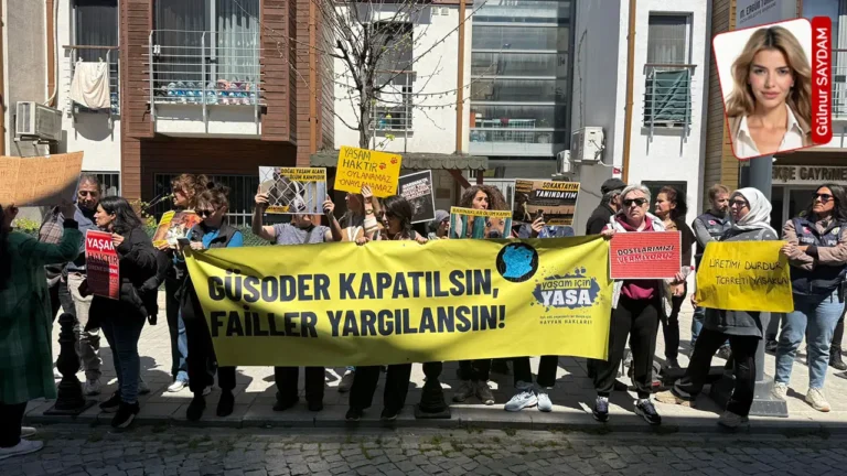 yasam-hakki-savunuldu-istanbulda-tartismali-katliam-karari-ertelendi-X4u7gcfT